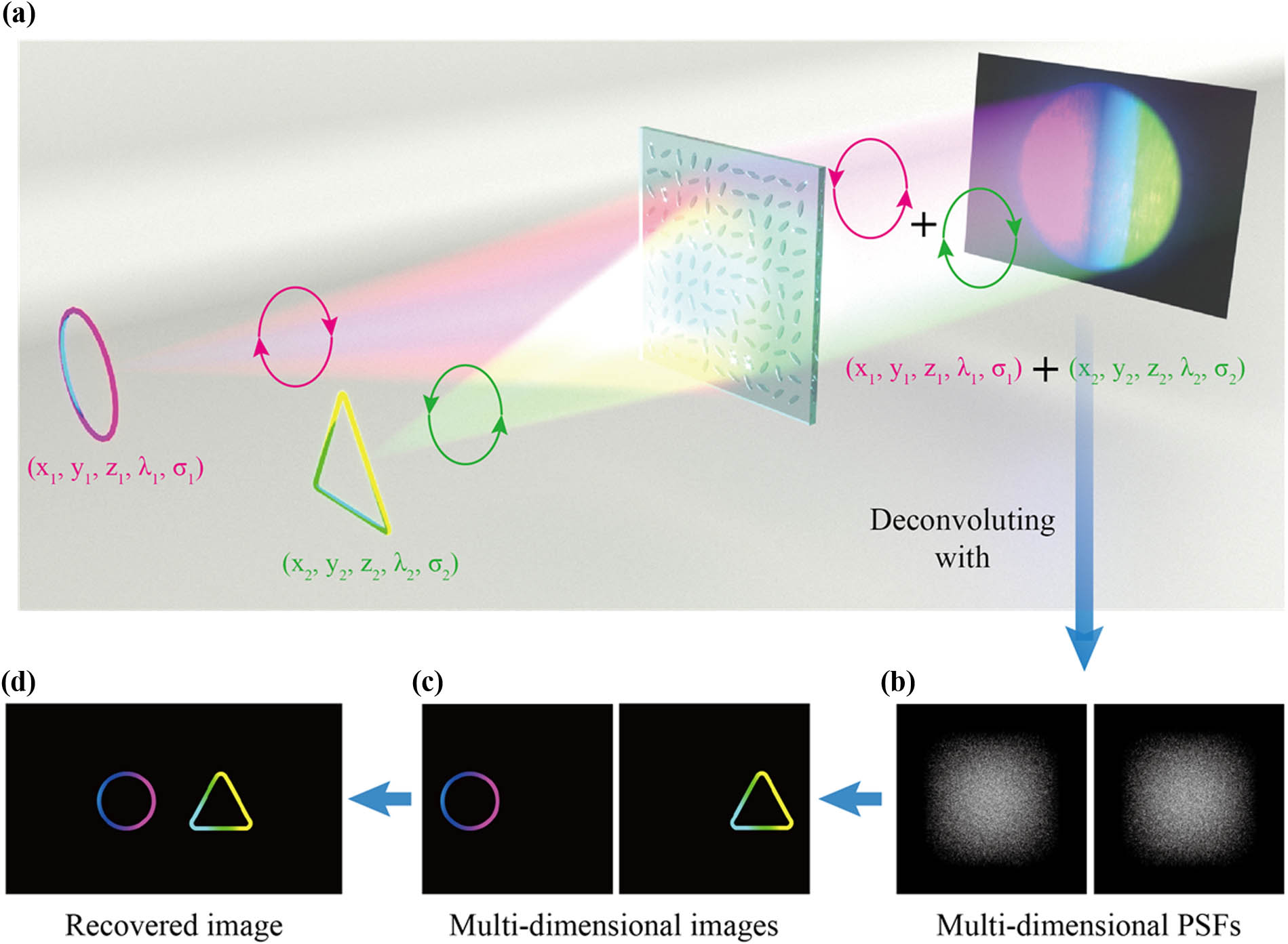 Schematic of the spatial–spectral–polarization meta-optical imaging system. (a) Light from two multispectral objects with different spatial and polarization (left, left-circularly polarized; right, right-circularly polarized) information propagating through the designed LC metasurface diffuser generates a speckle pattern on a monochromatic camera. (b) Speckle patterns produced by two-point objects with respective spatial and polarization information of the two multi-dimensional objects, taken as corresponding multi-dimensional PSFs. (c) Reconstructed multi-dimensional images from the monochromatic speckle images using corresponding PSFs. (d) The recovered image of the two objects by superimposing individual reconstructed images.