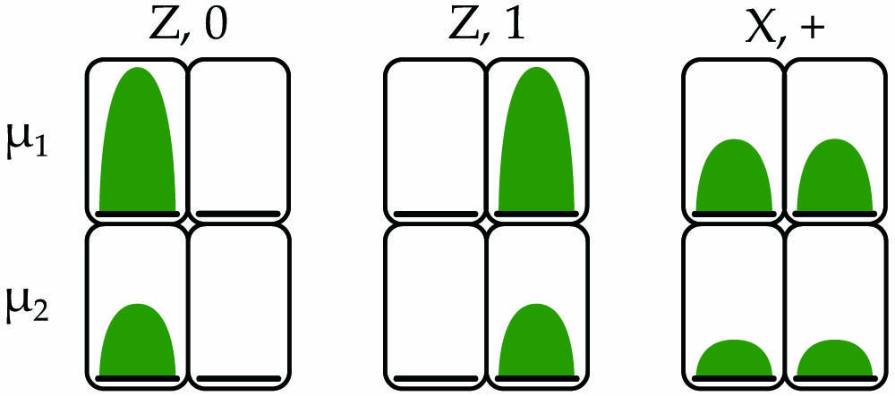 Encoding of the states sent by Alice. Z and X are the bases in which the states |0⟩, |1⟩ and, |+⟩, respectively, live. μ1 and μ2 correspond to the two mean photon numbers used for the one-decoy state protocol [26].