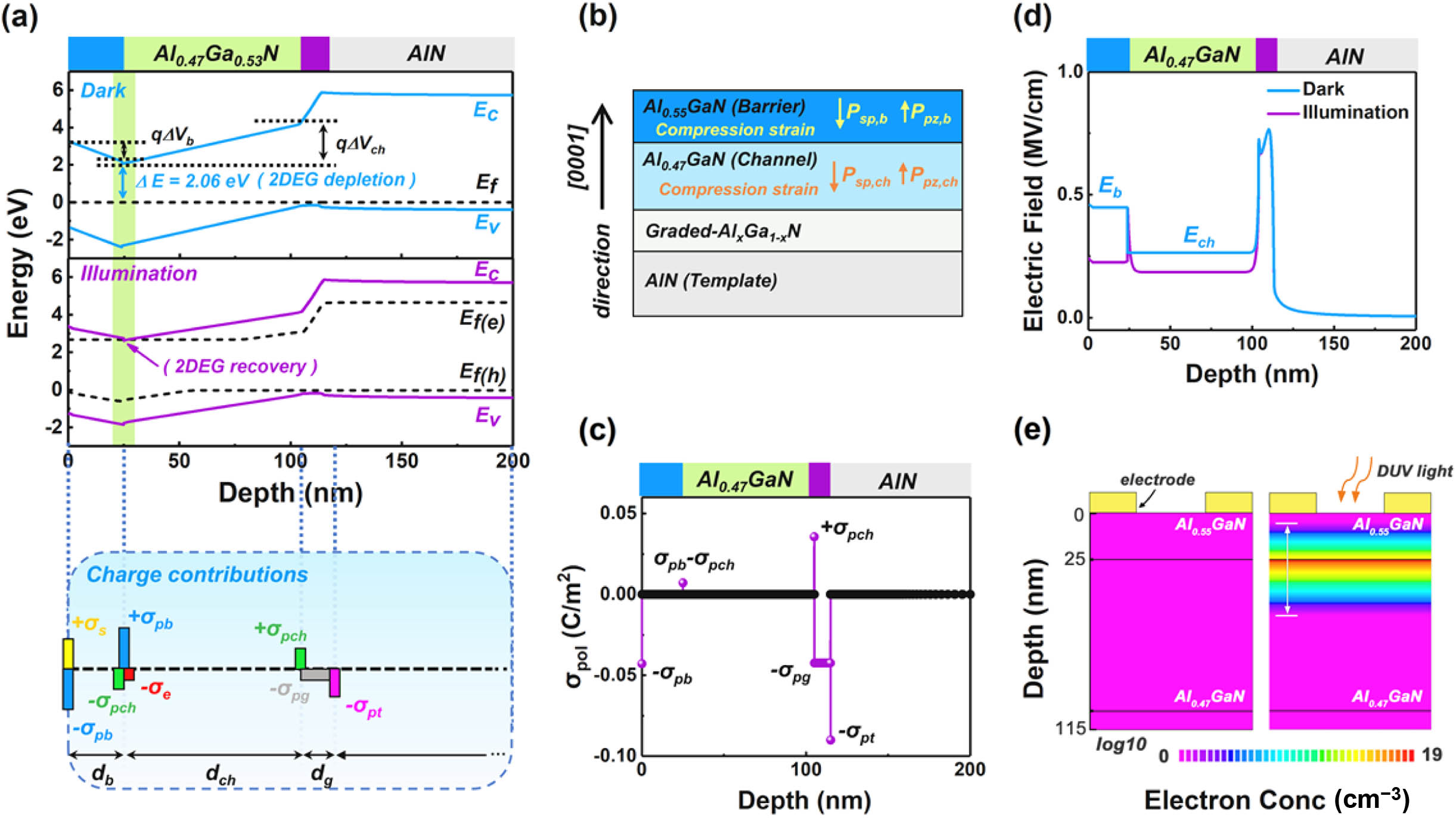 (a) Simulated energy band diagram of the phototransistor under zero bias voltage in the dark and 240 nm illumination of 0.1 μW/cm2 (upper panel) and the corresponding charge contributions (lower panel). (b) Directions of the spontaneous and piezoelectric polarization in our compressively strained Al0.55Ga0.45N/Al0.47Ga0.53N/AlN heterostructure. (c) Polarization charge distribution in the epitaxial structure under dark condition. (d) Comparison of the electric field distribution before and after 240-nm DUV illumination. (e) Cross-sectional view of the electron concentration distribution in the phototransistor before (left) and after (right) 240-nm DUV illumination.