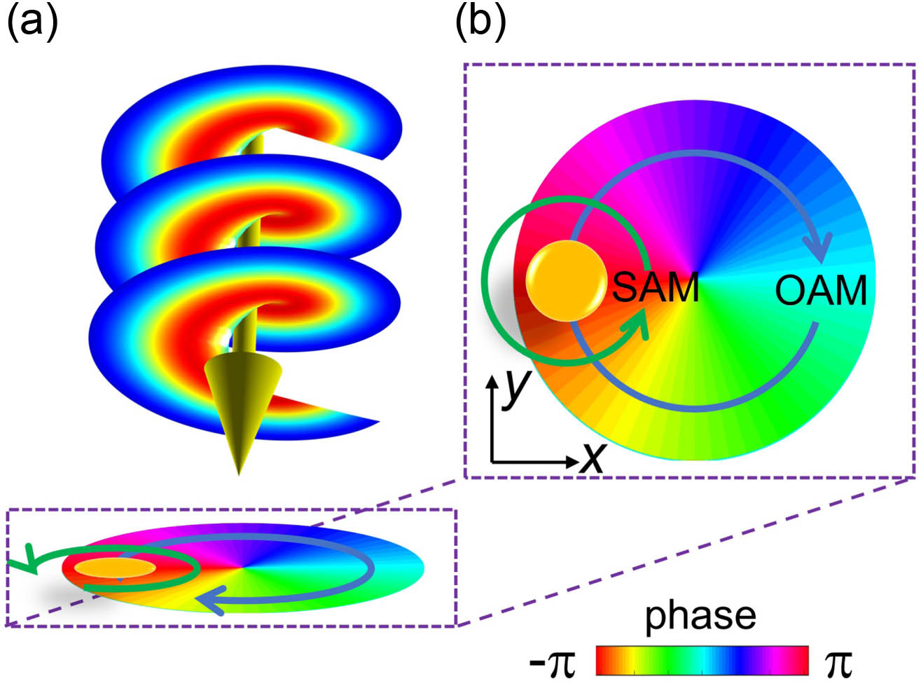 Interplay between optical OAM and SAM. (a) Schematic illustration of a nanoparticle polarized by an OAM beam with a helical wavefront. (b) Azimuthal phase gradient in the plane transverse to the propagation direction of a vortex beam in a spin-orbital state of |–1,1⟩. The yellow circle schematically refers to the nanoparticle under the illumination of a vortex beam. SAM and OAM induced particle polarizations are indicated by the green arrow and blue arrow, respectively.