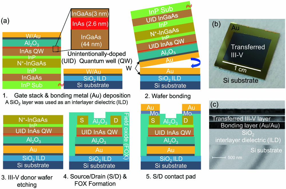 (a) Fabrication flow of InAs QW photo-FETs integrated on SiO2 interlayer dielectric (ILD)/Si substrates using direct wafer bonding techniques. (b) Optical microscope (OM) and (c) TEM images of a transferred III-V layer on Si substrates using Au/Au metal bonding.