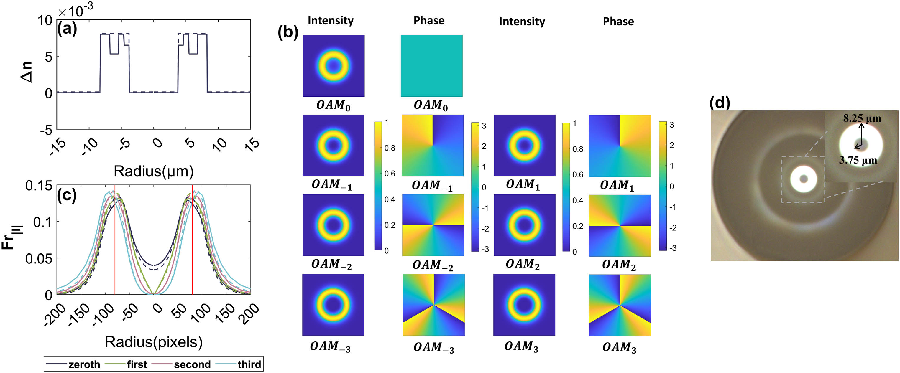 Refractive index distribution and mode characteristics of the RCF used for demonstration. (a) Refractive index profile of the RCF. (b) The intensity distribution and phase distribution of each OAM mode. (c) The radial field functions of OAM modes with different azimuthal orders. The actual length range is consistent with (a). (d) The cross-section image of the RCF captured by a microscope.