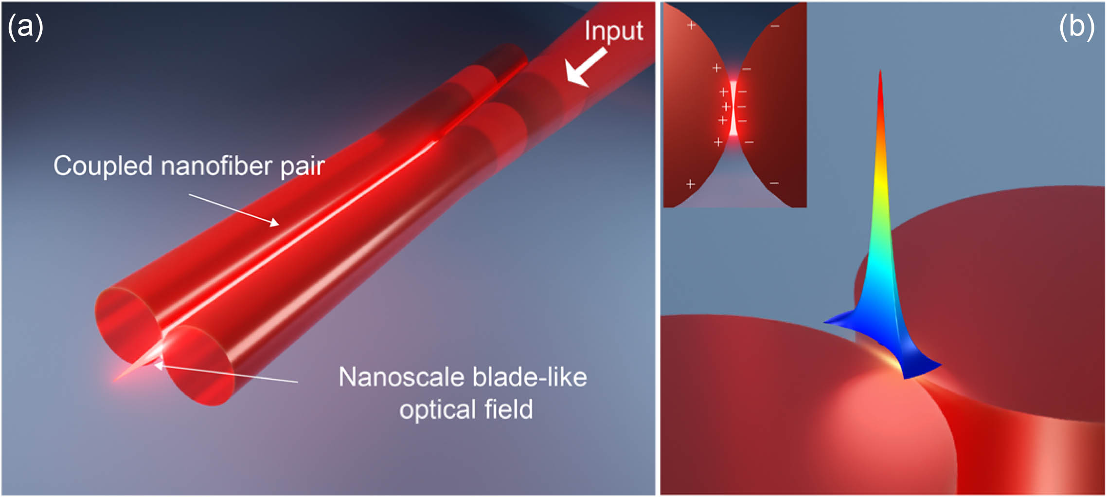 (a) Schematic illustration of generating a nanoscale blade-like optical field in a CNP. (b) Close-up profile of the field around the slit in (a). The inset illustrates cross-sectional distribution of the polarized charge density.