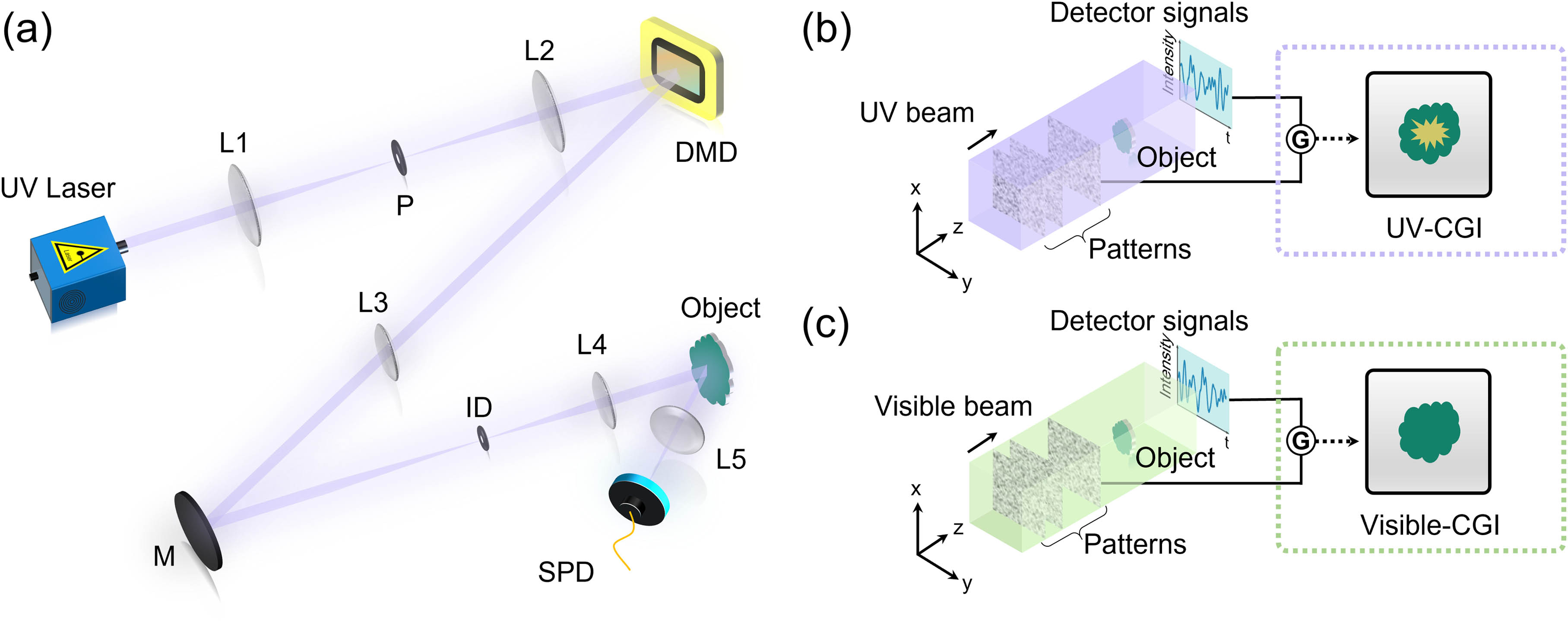 Schematics of ultraviolet computational ghost imaging (UV-CGI). (a) Experimental setup. L1–L5, lenses; P, pinhole; DMD, digital micromirror device; M, mirror; ID, iris diaphragm; SPD, single-pixel detector. (b) UV-sensitive image of the object; the yellow part within the image represents the area that contains UV-sensitive samples. (c) As a comparison, traditional visible CGI cannot reveal such a UV image.