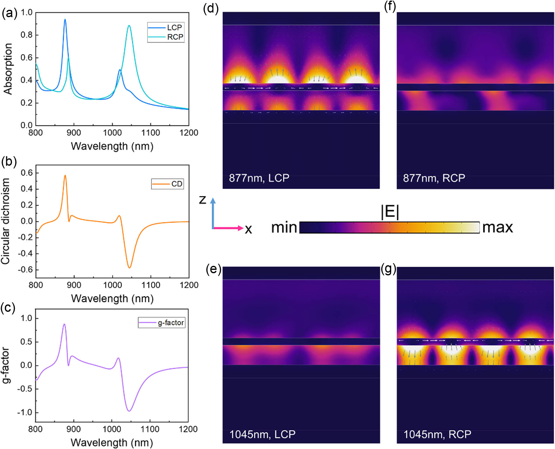 Electromagnetic response of the chiral metasurface. (a) Simulated optical response under LCP (blue) and RCP (cyan) illumination. (b) CD and (c) g factor spectrum of the chiral metasurface. (d)–(g) Spatial electric intensity profiles are taken from the xz section at y=−350 nm. The images are recorded at (d), (f) 877 nm and (e), (g) 1045 nm under (d), (e) LCP and (f), (g) RCP incidence.
