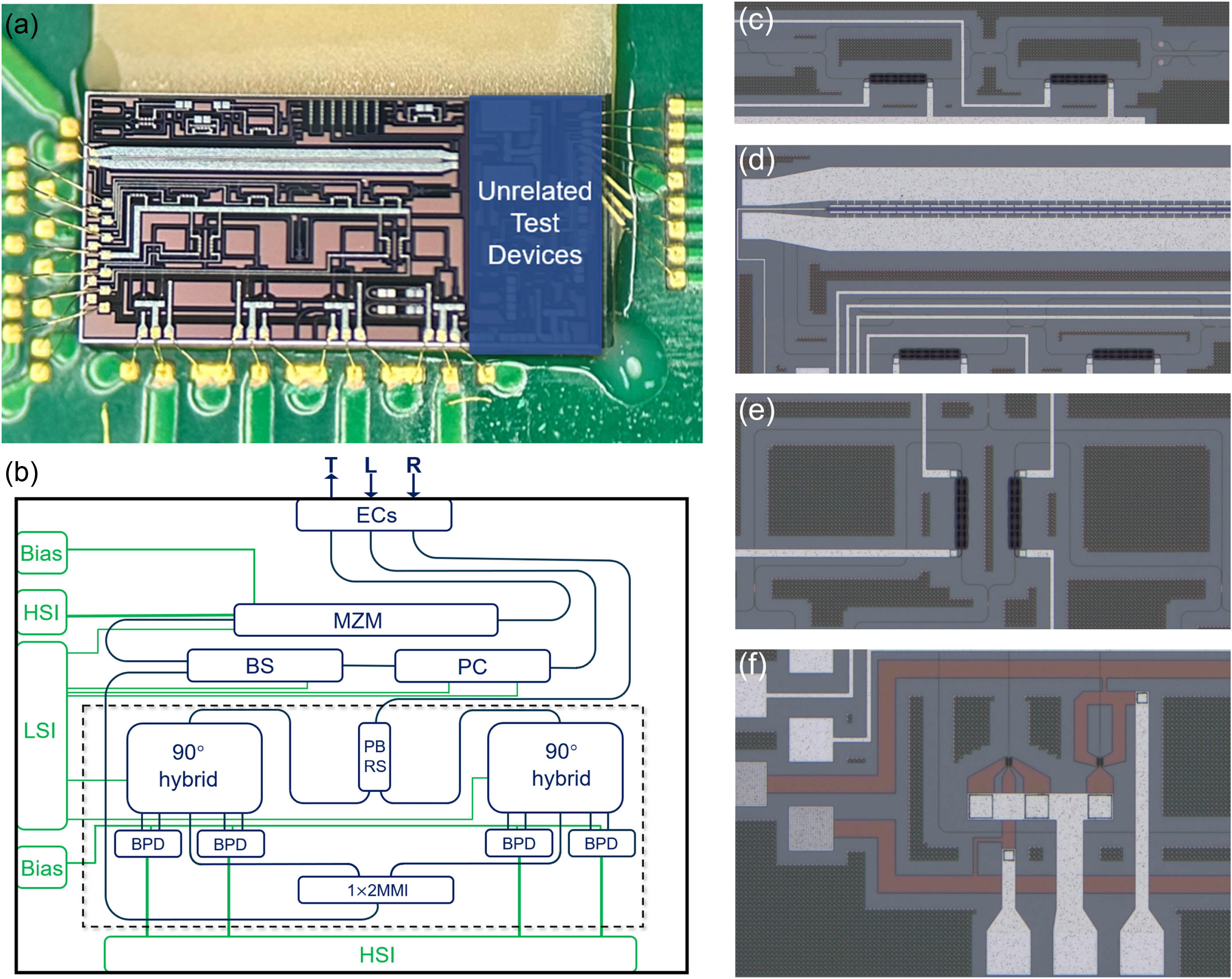 (a) Microscope image of the photonic integrated circuit (PIC). (b) Schematic of the PIC. EC, edge coupler; PC, polarization controller; BS, beam splitter; MZM, Mach–Zehnder modulator; PBRS, polarization beam rotator splitter; MMI, multimode interferometer; BPD, balanced photodetector; LSI, low-speed electrical interface; HSI, high-speed electrical interface. “L”, “T”, and “R” denote the three edge couplers, serving as the input for the light source, the output for modulated laser pulses, and the input for RBS light, respectively. The arrangement of the elements and waveguides in the sketch is consistent with the chip in practice except for the electrical wires, while the aspect ratio is adjusted for a better view. (c)–(f) Magnified micrographs of the PC, MZM, 90° hybrid, and BPD.