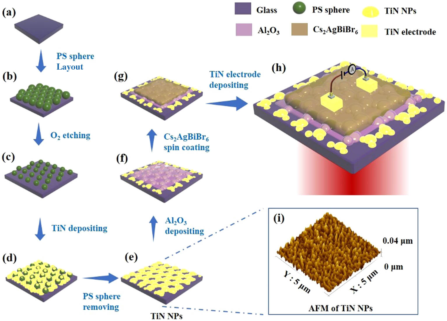 Schematic flow chart illustrating the fabrication process of the plasmonic perovskite Cs2AgBiBr6 PD incorporated with TiN NPs and Al2O3 ultrathin layer. (a) Preparing a hydrophilic glass substrate; (b) forming a single layer of highly ordered closely packed PS nanospheres on glass substrate obtained by self-assembly method; (c) obtaining sparsely distributed PS nanosphere array by the RIE method; (d) depositing a TiN layer with a thickness of 40 nm by the RF magnetron sputtering method; (e) obtaining TiN NP array on the glass substrate after removing PS spheres; (f) depositing an ultrathin Al2O3 layer on the above formed TiN NPs by ALD; (g) spin coating the Cs2AgBiBr6 thin film on the Al2O3 interfacial layer; and (h) sputtering TiN electrodes with a thickness of 80 nm on Cs2AgBiBr6 using a copper mesh as the mask. In (h), the light is incident on the PD from the glass side. (i) 3D AFM image of the obtained TiN NPs.