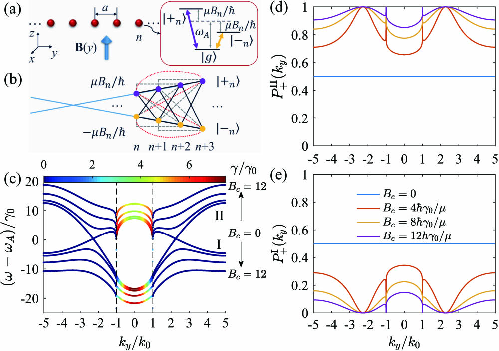 (a) Schematic of a 1D V-type atomic array under a magnetic field B(y). (b) Schematic of the corresponding lattice where the nth atom has non-degenerate excited states |±n⟩ with frequency shifted by ±μBn/ℏ. Blue lines indicate a linear trend of Bn as in Eq. (2). (c) Band structures with different constant magnetic fields Bc with values Bc=0,4ℏγ0/μ,8ℏγ0/μ,12ℏγ0/μ, respectively. Black arrows indicate values of Bc for corresponding bands. Decay rates of modes are color coded. Probabilities of eigenstates on (d) band II and (e) band I projected on |+⟩ states for different Bc. Here, a=0.1λ.