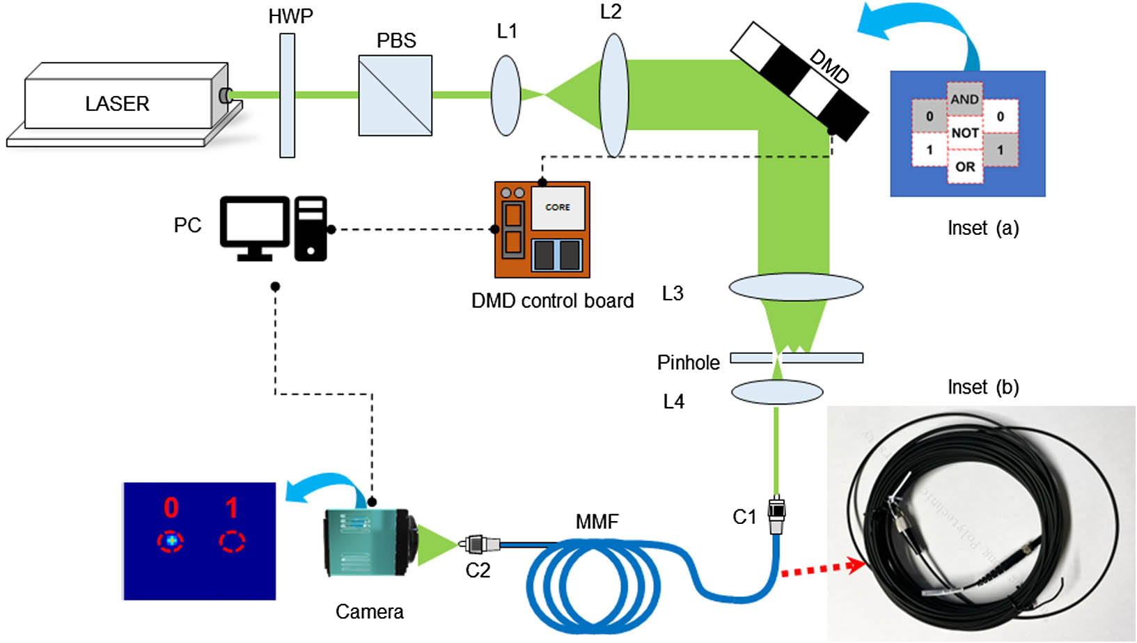 Optical setup. C1, C2, collimator; DMD, digital micromirror device; HWP, half wave plate; L1–L4, lens; MMF, multimode fiber; PBS, polarization beam splitter. The figure presents a logic output state of “0” (the “0” position at the output plane, as sensed by the camera, sees an optical focus) for logic operation “0·1” (with DMD subregions 0, AND, and 1 being selected and activated), with “·” representing “AND” logic type. Inset (a) illustrates the arrangement of subregions on the DMD. Subregions around the center represent the logic type control units and the binary input digit units; subregions marked in gray represent selected and activated subregions in a specific logic operation; the subregion marked in blue serves as the common reference. Inset (b) is a photograph of the 15-m-long fiber used in this study.