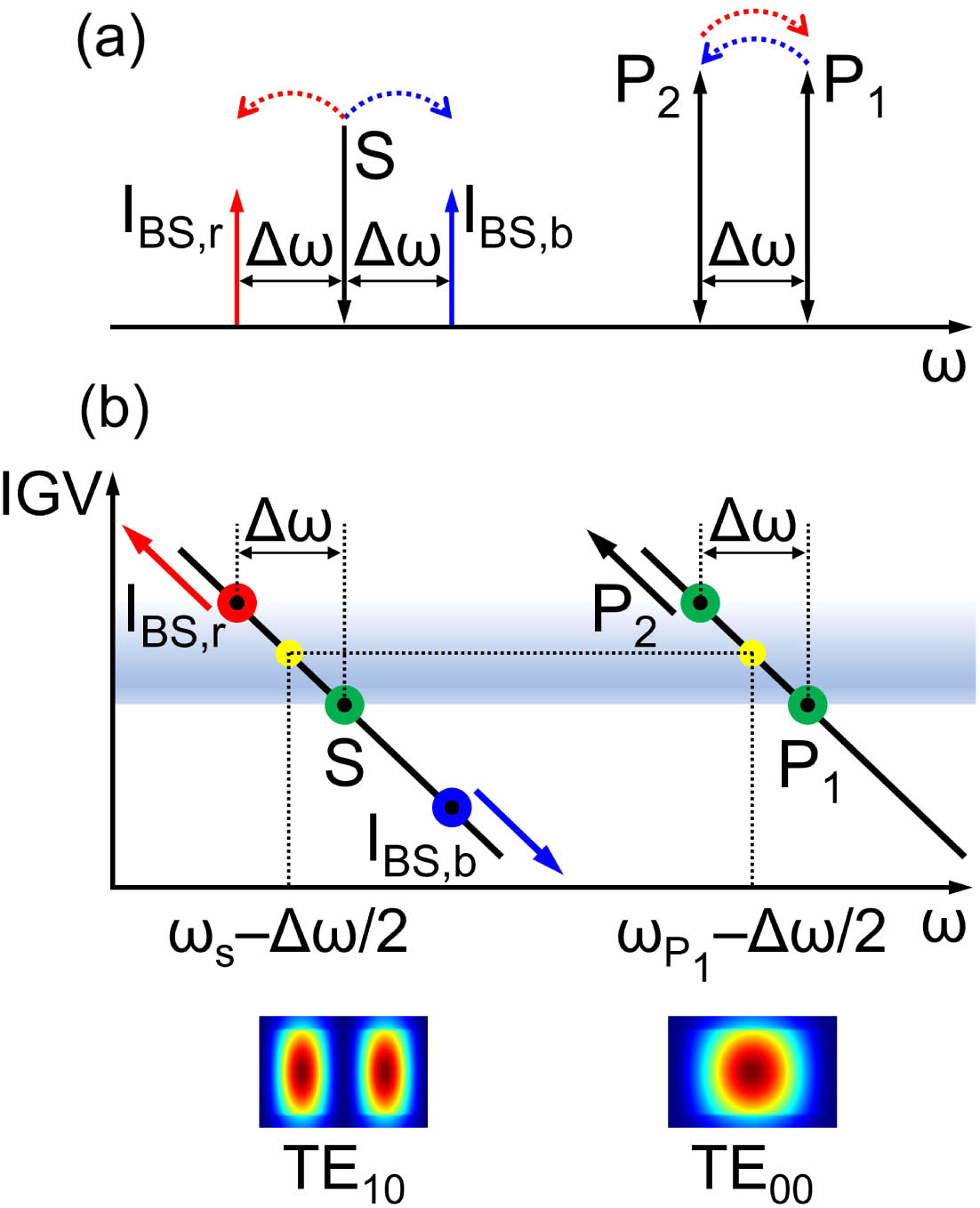(a) Dual-pump BS FWM working principle. When two pumps (P1 and P2) and a seeding signal (S) are input into a third-order nonlinear waveguide, BS FWM can occur under the assumption that the phase matching condition is fulfilled. In this scenario, photons are scattered from the signal S to two idlers (IBS,b and IBS,r), with a simultaneous energy exchange between the two pumps. The solid arrows indicate the loss (down) and gain (up) of the photon energy, while the dashed arrows indicate the direction of the energy exchange for the IBS,r (red) and IBS,b (blue) cases. (b) Graphical illustration of the phase matching mechanism for the BS-IM-FWM scheme. If P1 and P2 are placed in the TE00 mode and the signal and idlers in the TE10 mode of a multimode waveguide, the phase matching condition can be satisfied and retained if it is possible to draw a horizontal line that crosses the IGV curves of the two considered modes at the average frequencies (yellow dots in the figure) of the two pumps and of the signal and one idler (either IBS,b or IBS,r).