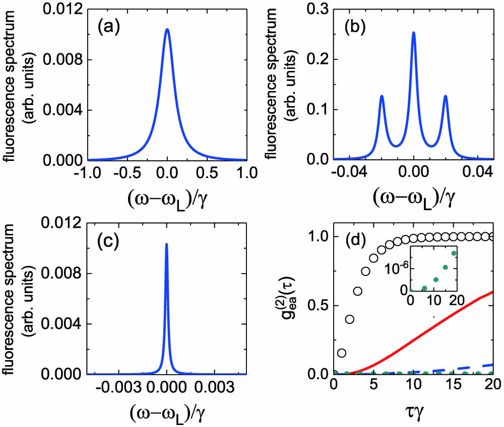 Fluorescence spectrum (incoherent component) for the transition |e⟩↔|a⟩ with Ω=1/10γ, Ωr=10−2γ in (a), Ω=5×10−2γ, Ωr=10−2γ in (b), and Ω=10−2γ, Ωr=10−5γ in (c), respectively. (d) Normalized second-order correlation of the transition |e⟩→|a⟩ as a function of delay τ. The red solid line, blue dashed line, and green dot line correspond to the cases in (a)–(c), respectively. As a contrast, normalized second-order correlation of two-level system in the weak excitation regime is shown by black open circles.