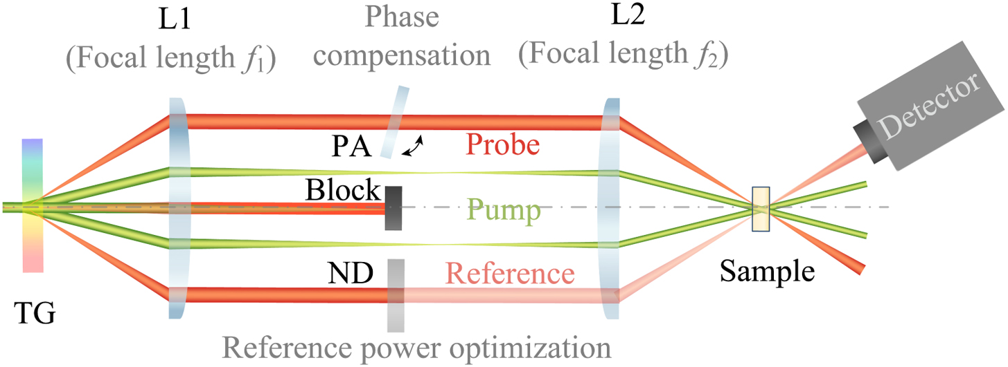 Schematic of ISBS with heterodyne detection. TG, transmission grating; L1 and L2, lenses; PA, phase adjustment plate.