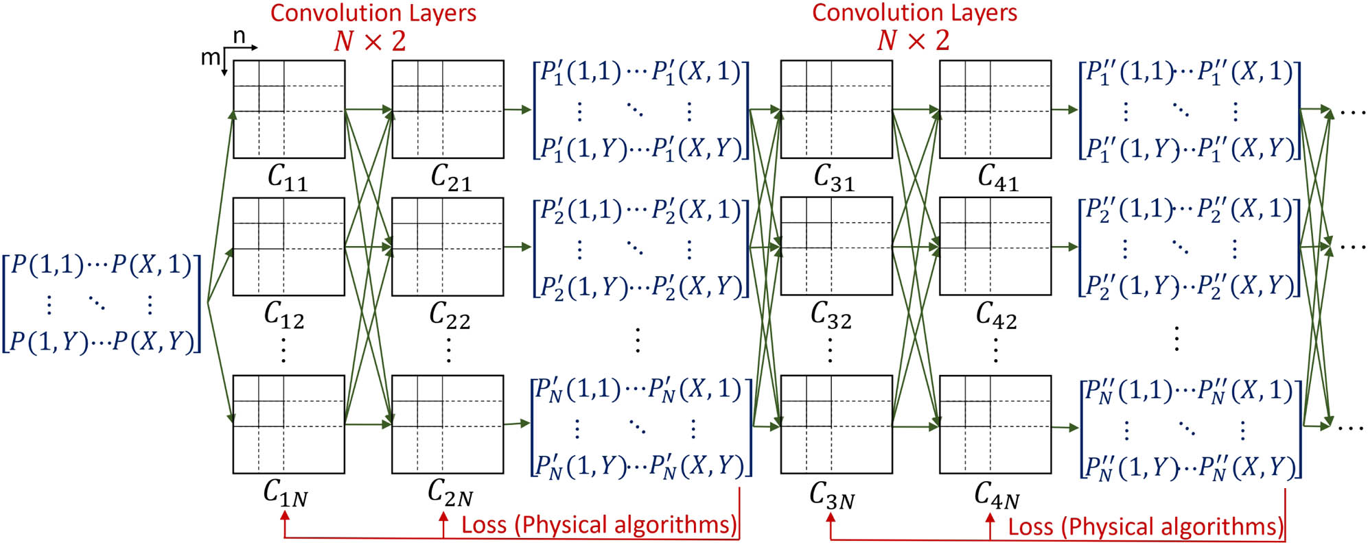 Diagram of Speckle-Net. Speckle-Net consists of multiple branches and two convolution layers within each branch. Subscripts j and i in Cji denote the jth layer and ith kernel in each layer. N kernels are adopted in each layer. A physical algorithm related loss function feedback is applied at the end of each branch to modify the kernels by gradient descent.