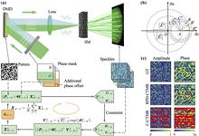 Complex transmission matrix retrieval for a highly scattering medium via regional phase differentiation