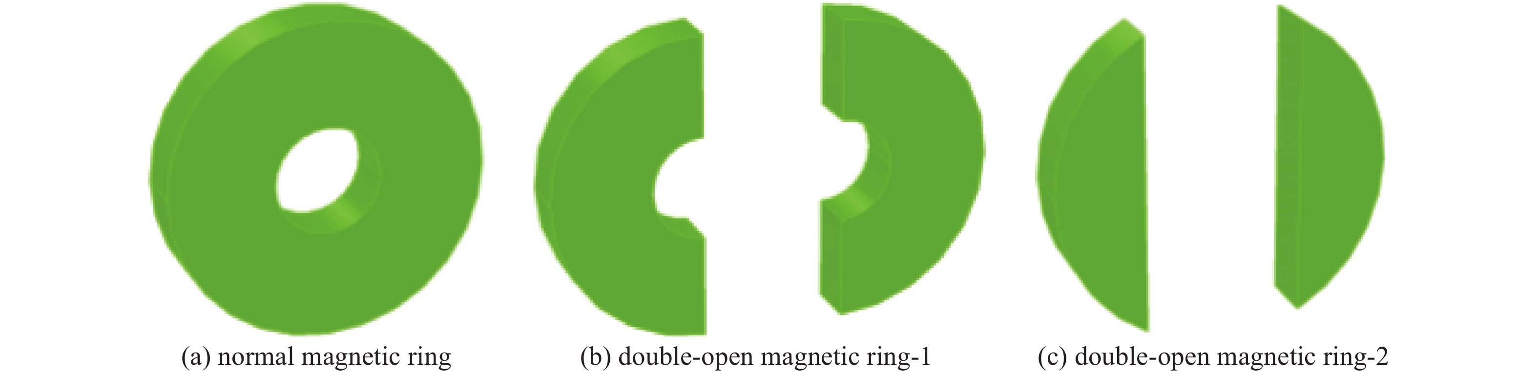Magnetic ring models