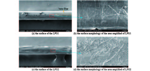 SEM images of graphene on the surface of optical fiber