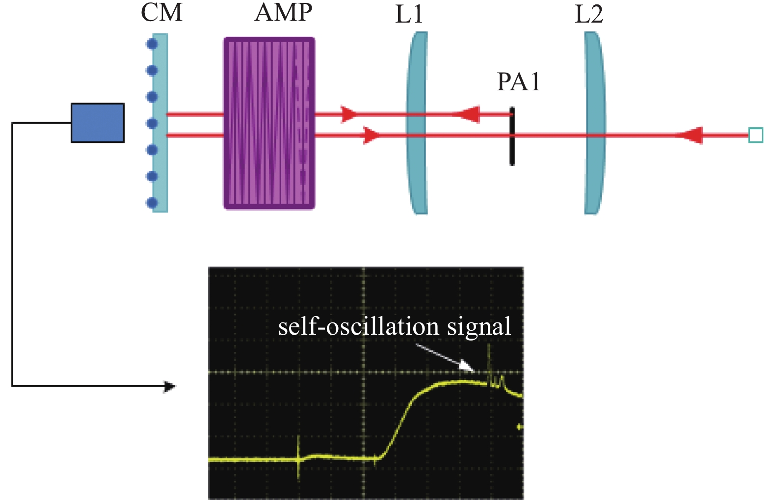Amplifier optical path structure and self-oscillation time waveform in the back of cavity mirror