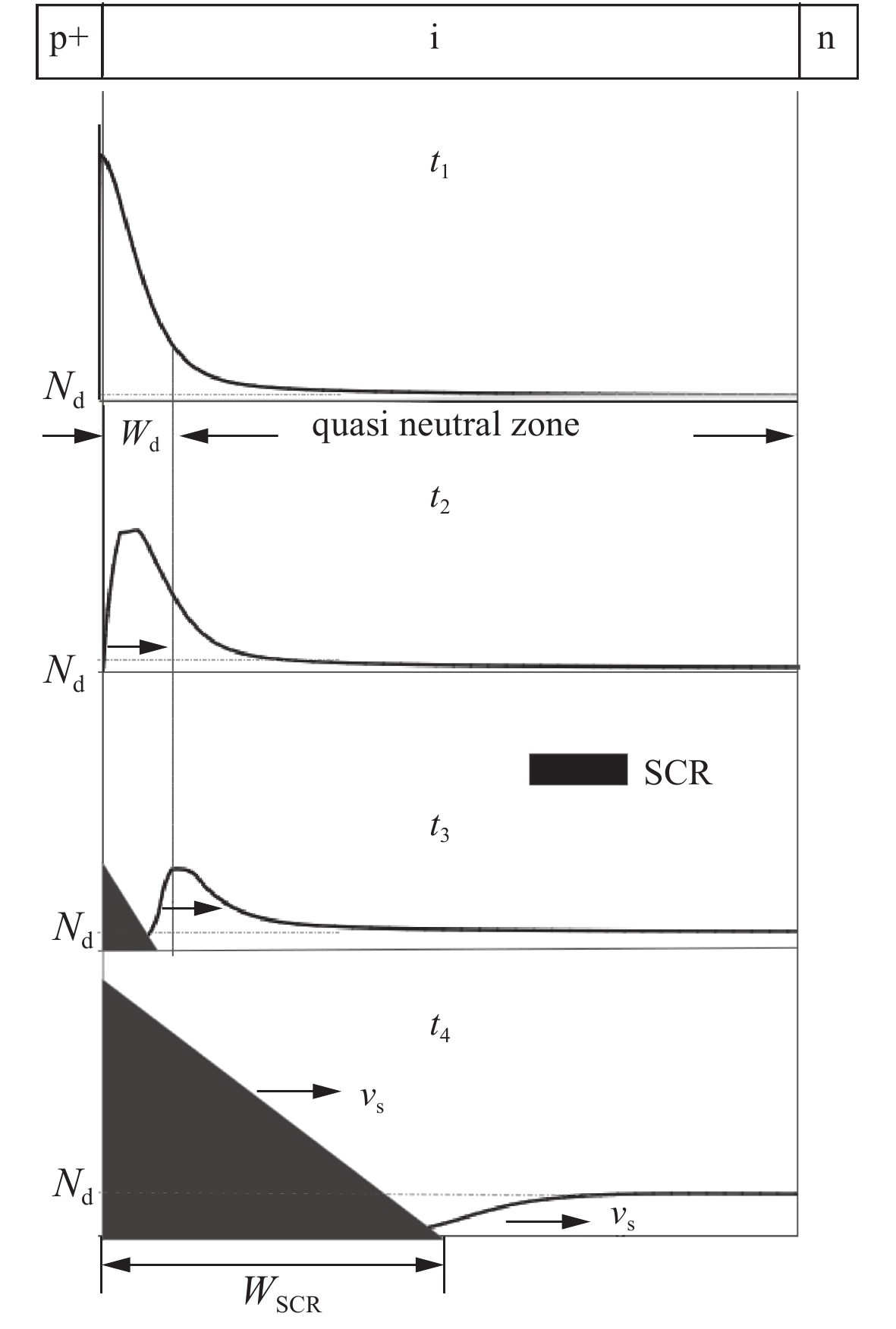 Sketches of electric field and plasma concentration profiles during the opening process