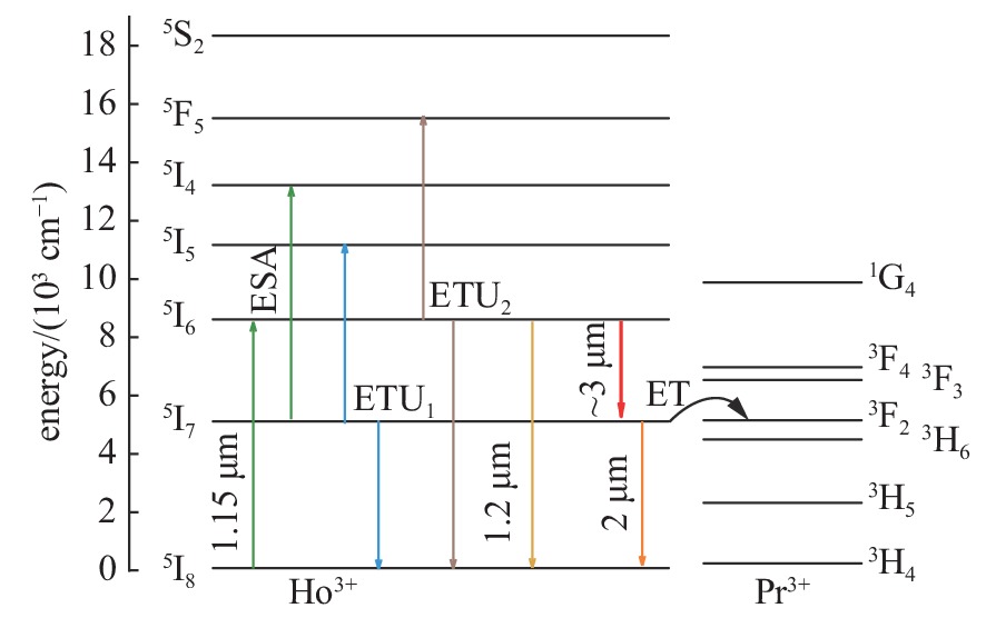Partial energy level diagrams of Ho3+ and Pr3+ and corresponding transitions related to ~3 µm laser