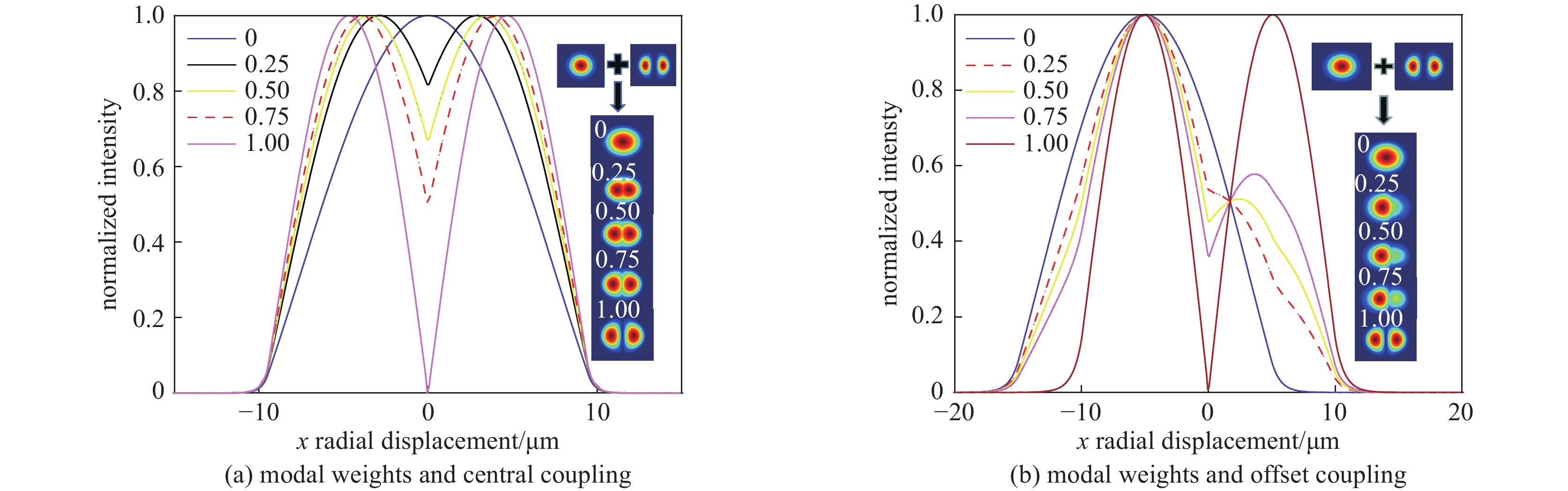 Transverse light intensity distributions corressponding to the central coupling and the offset coupling