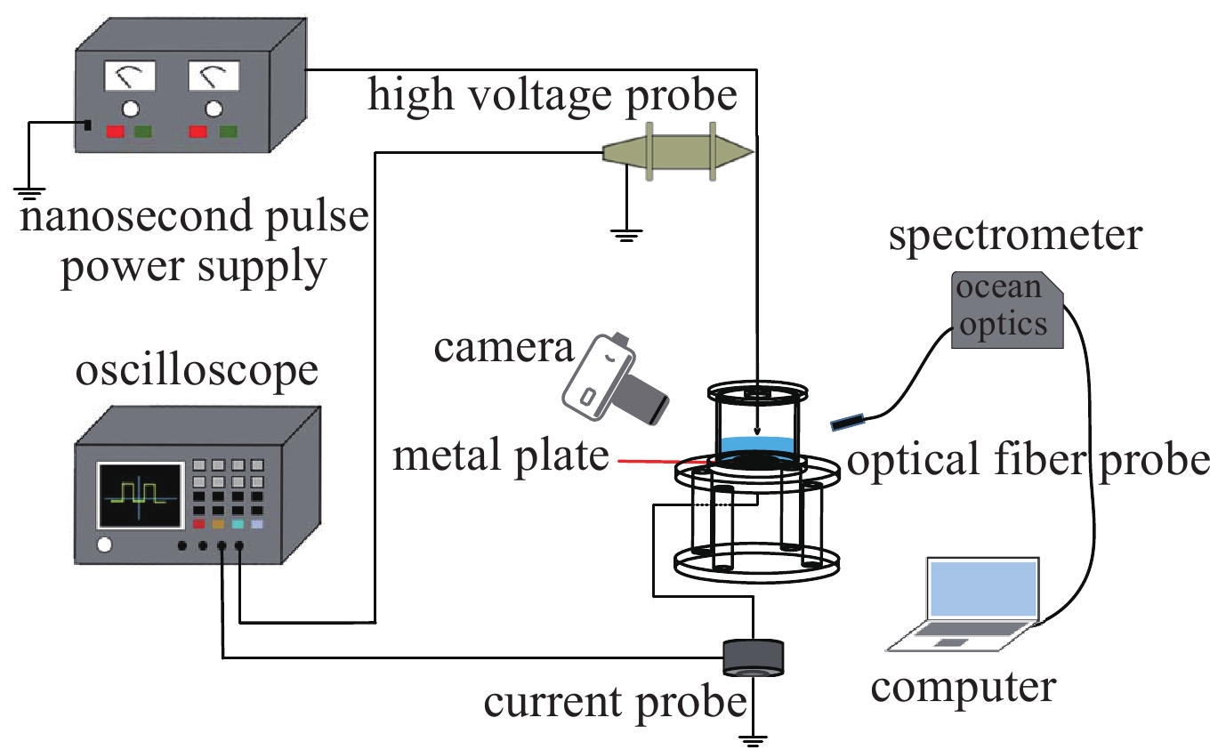 Experimental setup of nanosecond pulse gas-liquid discharge in atmospheric air