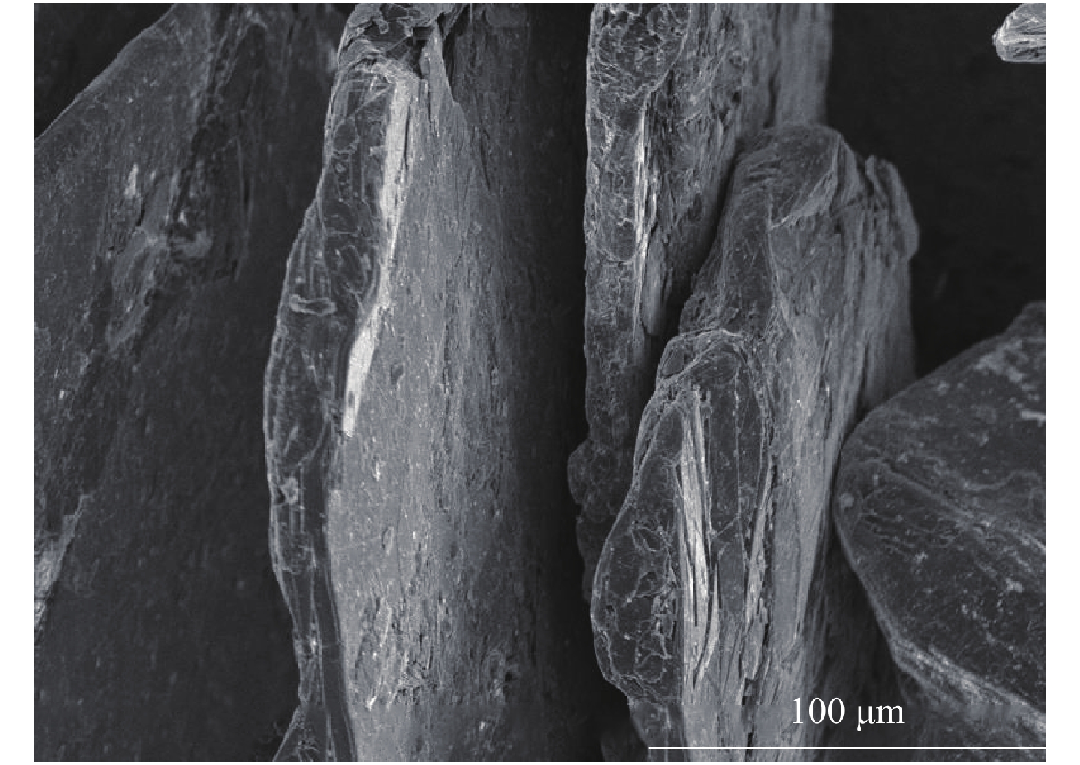 Scanning electron micrograph of flaky graphite samples from Jixi