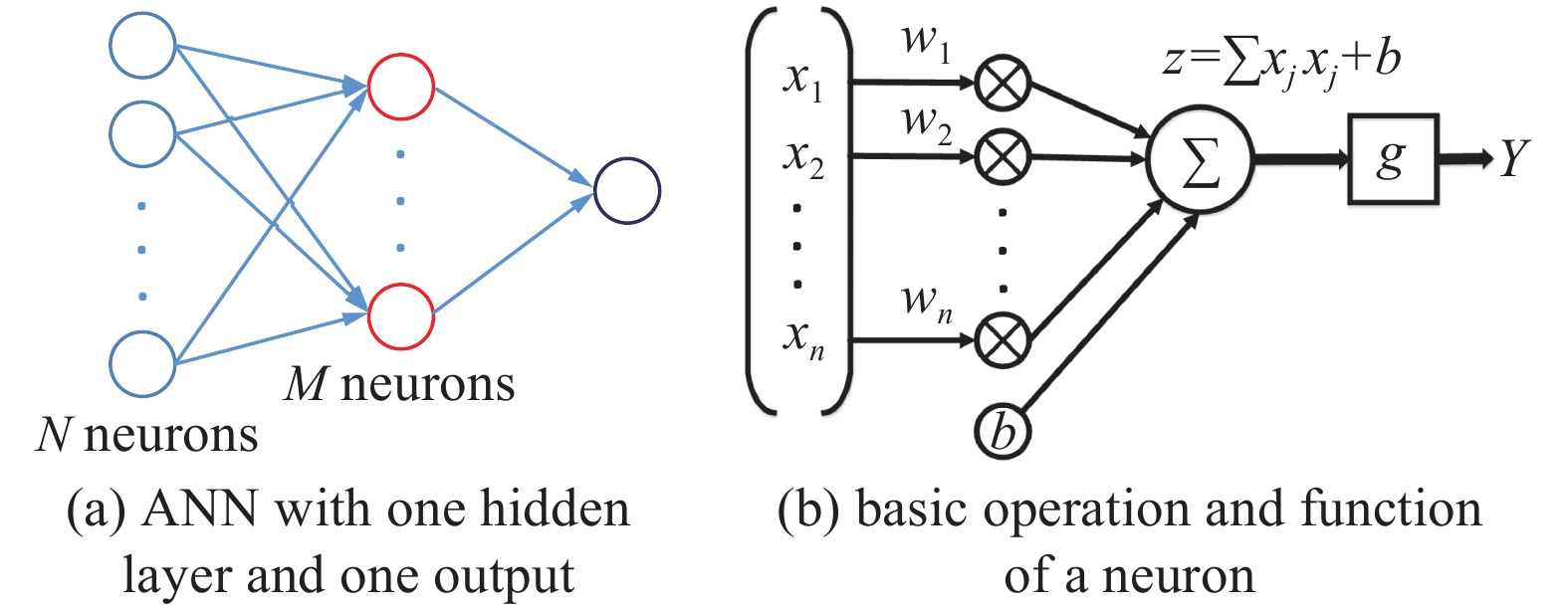 ANN and the basic operation of a neuron