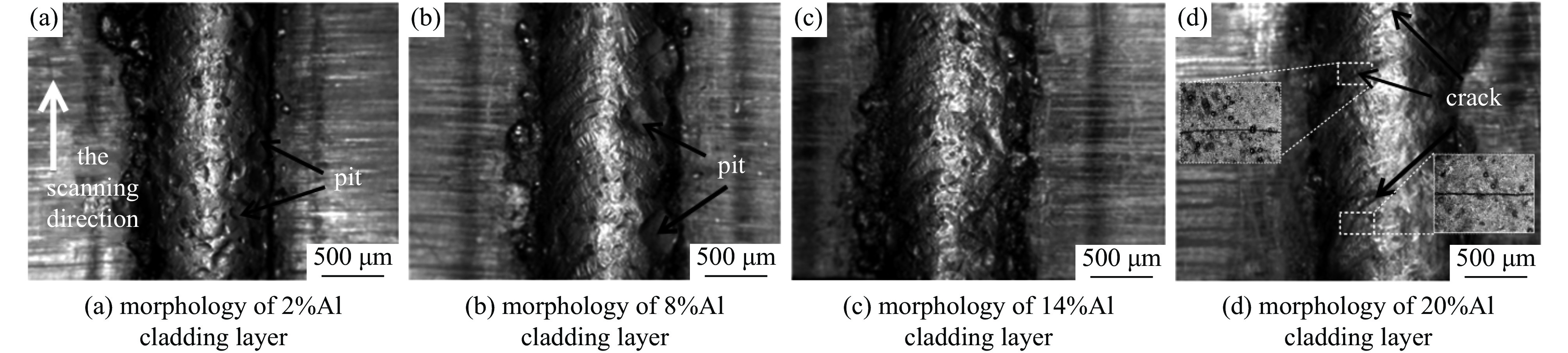 Macro topography of the coatings with different Al mass fraction