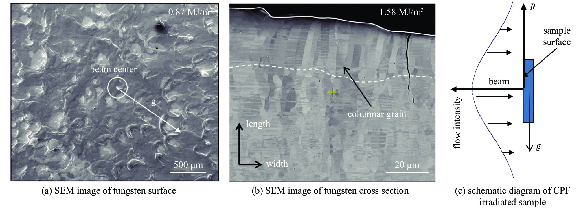 SEM images and diagram of tungsten under compressed plasma flow (CPF) single pulse irradiation with pulse width of 0.1 ms