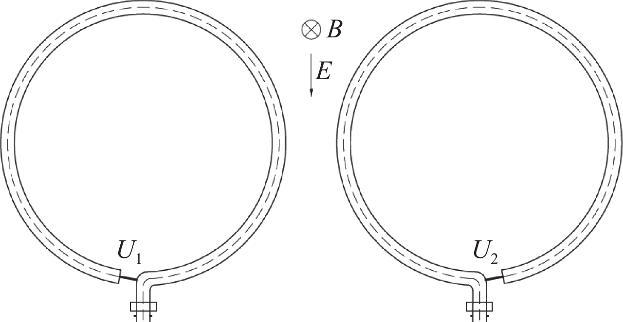 Schematic diagram of dual-loop differential principle
