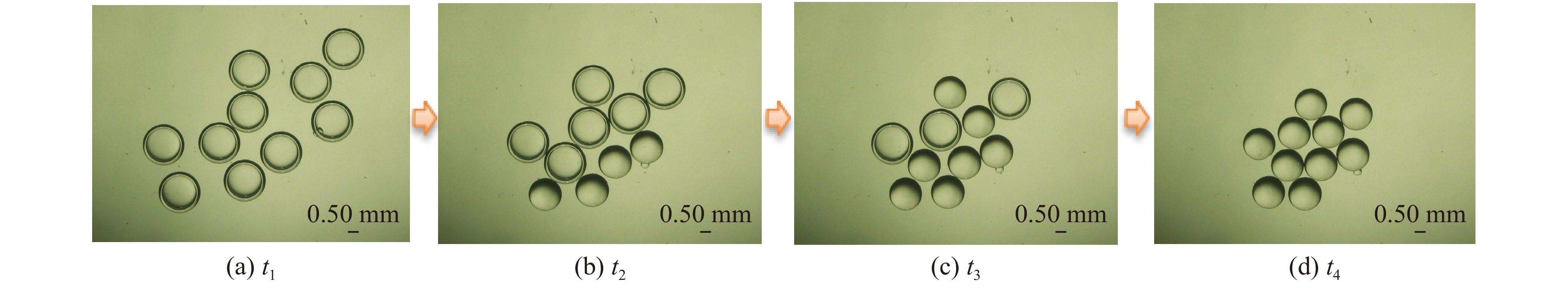 Instability of PS-1 compound droplets
