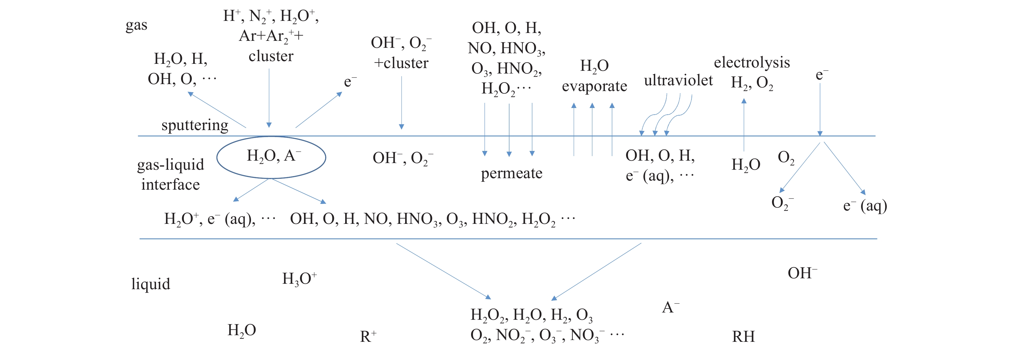 Schematic diagram of mass transfer, reaction and active components that may exist in non-contact liquid plasma[10]