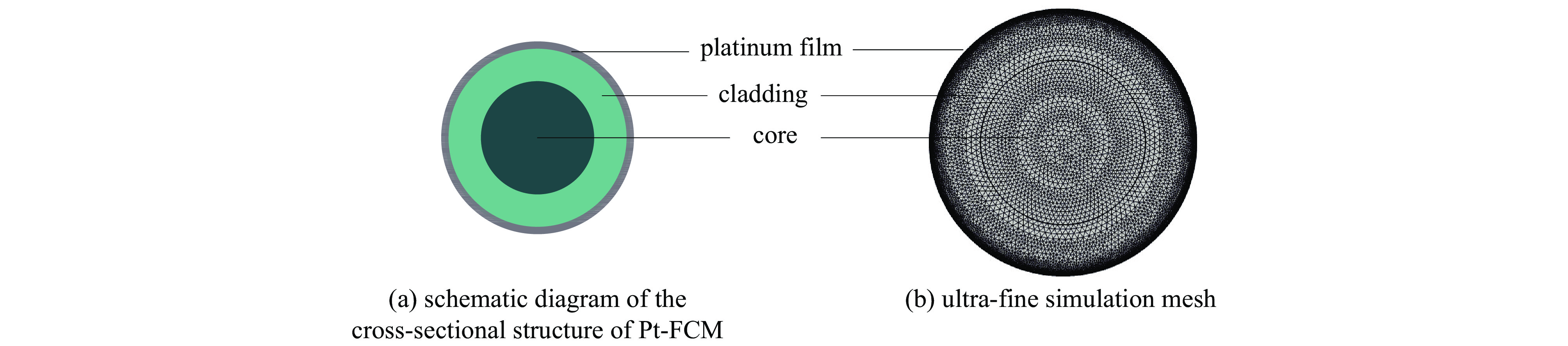 Schematic diagram of the cross-sectional structure of Pt-FCM and ultra-fine simulation mesh