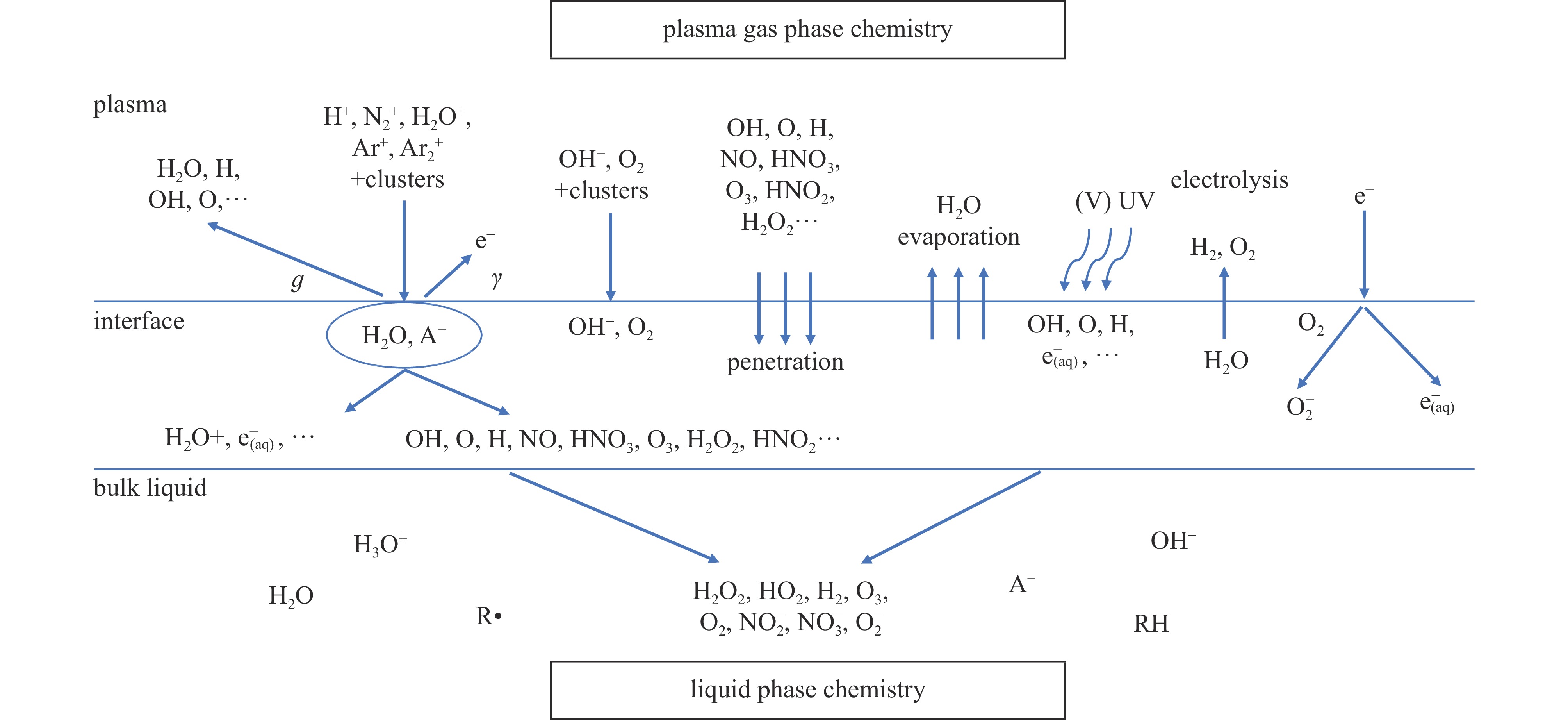 Schematic diagram of argon/wet air plasma active substance transmission in gas, liquid and their interfaces