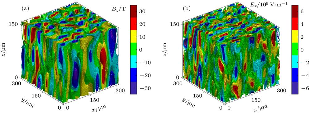 Three demensional distributions of the Weibel instability generated (a) magnetic field By and (b) electric field Ex at t = 1.06 psWeibel不稳定性 (a)自生磁场By和(b)自生电场Ex在t = 1.06 ps时的三维空间分布