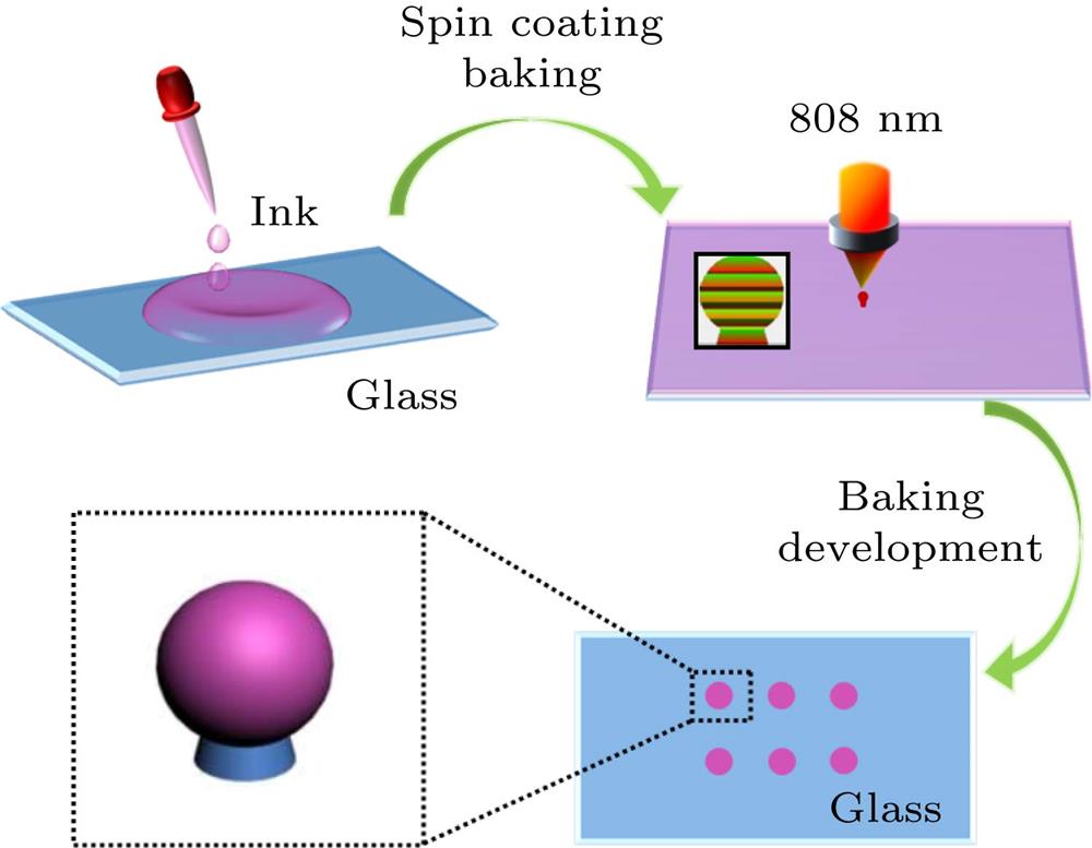 Diagram of femtosecond lithography of microsphere cavity.微球腔飞秒激光光刻流程示意图