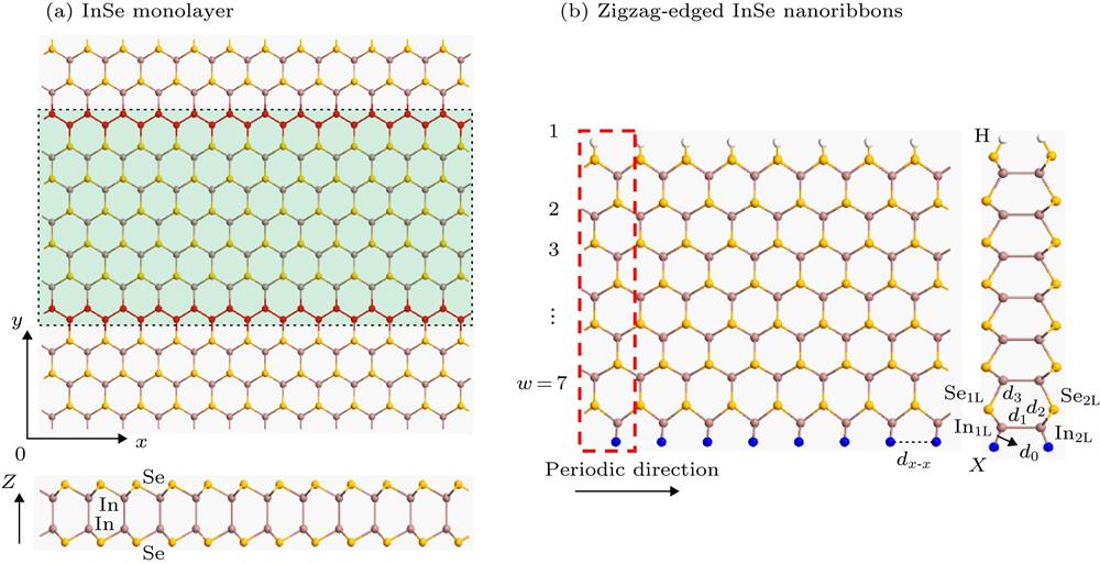 (a) Top and side views of monolayer InSe. Tailoring monolayer InSe along X-axis direction to achieve zigzag InSe nanoribbons, denoted by a pale green filled area; (b) top and side views of H-ZN(7)-X. The red dotted box represents a unit cell.(a) InSe单层的顶视图(上图)和侧视图(下图).沿着X方向裁剪InSe单层可以得到锯齿型InSe纳米带, 图中淡绿色填充区域表示; (b) H-ZN(7)-X的顶视图(左图)和侧视图(右图). 红色的虚线框表示计算的单胞