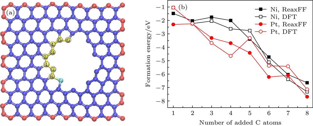 (a) Atomistic configuration of the addition of 8 C atoms to the defective graphene; (b) the formation energies during the addition of 8 C atoms calculated by ReaxFF and DFT.(a) 缺陷石墨烯添加8个C原子后的原子构型图; (b) ReaxFF和DFT计算添加C原子的形成能曲线
