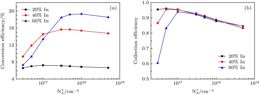 (a) Conversion efficiencies and (b) collection efficiencies with various NA+ for In0.2Ga0.8N, In0.4Ga0.6N, In0.6Ga0.4N p-i-n homojunction solar cells, respectively.In0.2Ga0.8N, In0.4Ga0.6N和In0.6Ga0.4N p-i-n同质结电池中, (a)转换效率和(b)收集效率随p层空穴浓度NA+的关系
