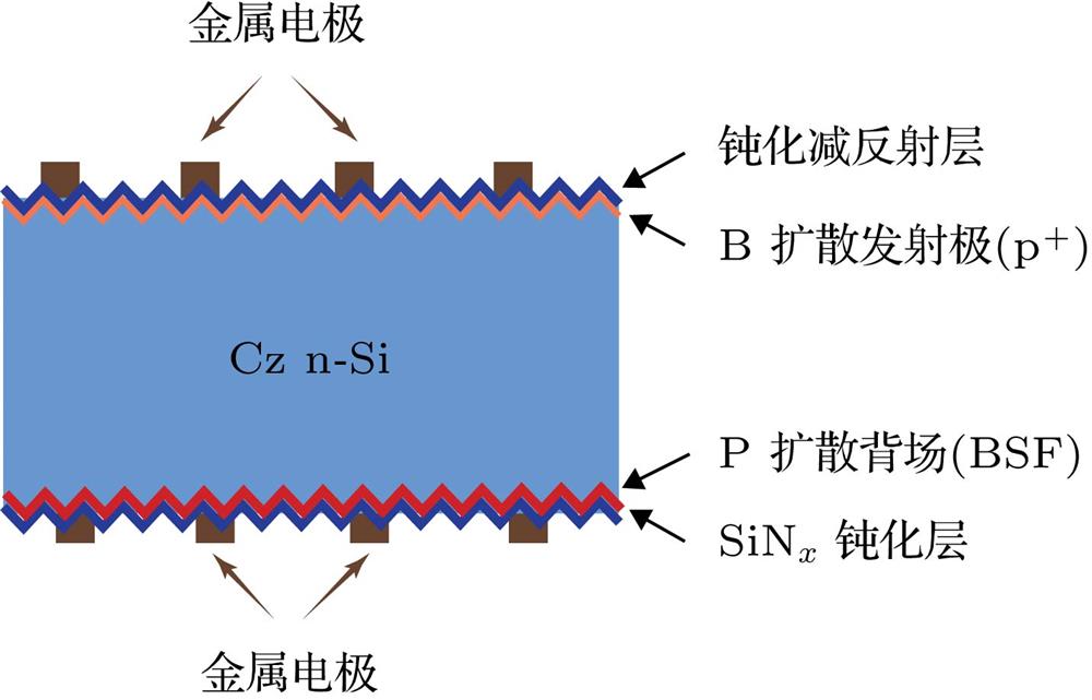 The schematic diagram of the structure of bifacial solar cell.双面电池结构示意图