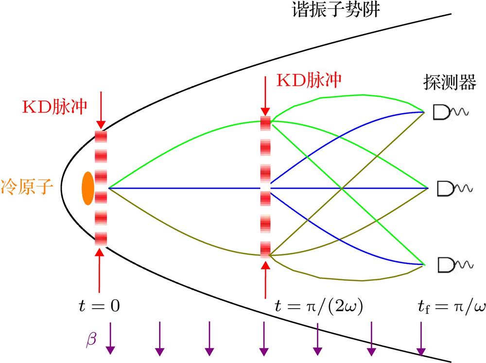 Diagram of cold atoms with two KD pulses in harmonic oscillator potential. At the measurement time , the coherent superposition of different modes occurs. is the external field.简谐势阱中冷原子受到两次KD脉冲的示意图 在测量时刻, 不同模式相干叠加, 为外场
