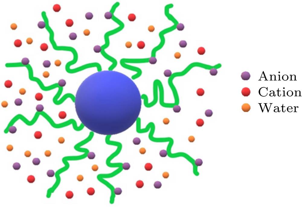 Schematic representation of the PNIPAM tethered to nanoparticle surface. Bonding between PNIPAM and SCN– by formation of P—S bonds.接枝在纳米粒子表面的PNIPAM球面刷系统(其中SCN–通过P—S键与PNIPAM结合)