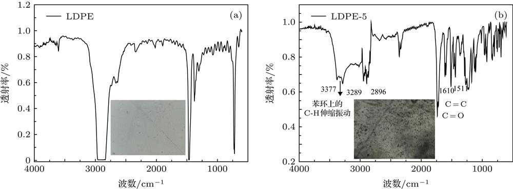 Micro-IR spectroscopy of LDPE and LDPE-5 specimens: (a) LDPE; (b) LDPE-5.LDPE及LDPE-5显微红外 (a) LDPE显微红外; (b) LDPE-5显微红外