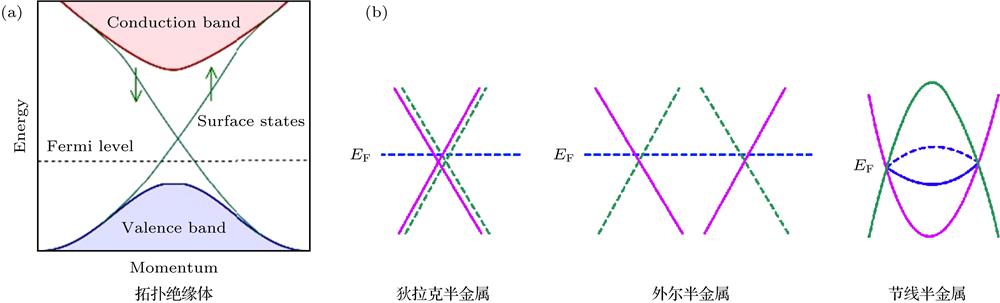 Band structures for different types of topological materials: (a) Topological insulator [from Wikipedia]; (b) topological semimetals[37].不同拓扑材料的能带示意图 (a)拓扑绝缘体(来自维基百科); (b)拓扑半金属(来自文献[37])