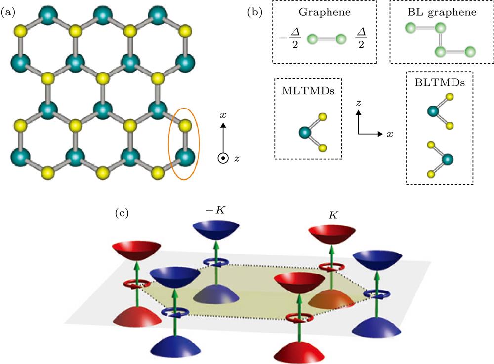 (a) 2D hexagonal lattice, representing graphene, monolayer transition metal dichalcogenides (TMDs), etc; (b) In monolayer graphene, inversion symmetry is broken when monolayer graphene interacts with h-BN substrate. The monolayer TMDs have structures that lack inversion symmetry. Inversion symmetry in bilayer graphene and TMDs can be switched on/off by an electric field applied in the z-direction; (c) An energy gap is opened in Dirac systems with broken inversion symmetry. The arrows indicate interband transitions at different valleys, and the circular arrows represent different circularly polarized light[28].(a) 石墨烯、单层过渡金属硫族化合物(TMDs)等材料的二维蜂窝晶格; (b)当单层石墨烯与h-BN基底产生相互作用, 空间反演对称性就会被破坏, 单层TMDs不具有空间反演对称性结构, 在双层石墨烯和双层TMDs中反演对称性可以通过施加z方向的电场打开或关闭; (c) 反演对称性破缺的狄拉克体系在能谷处打开能隙, 箭头表示能谷光学跃迁, 圆形箭头表示不同的圆偏振光[28]
