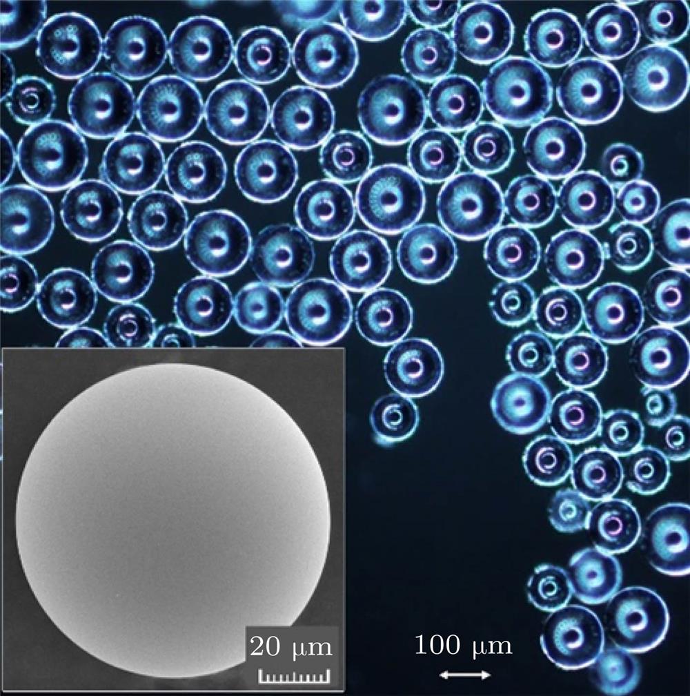 A typical batch of tellurite glass microspheres fabricated in this work. Inset: SEM image of a 92.13-μm diameter tellurite glass microdisk laser.实验制备的一批典型的碲酸盐玻璃微球(内插图为一颗直径为92.13 μm的碲酸盐玻璃微球的SEM图)