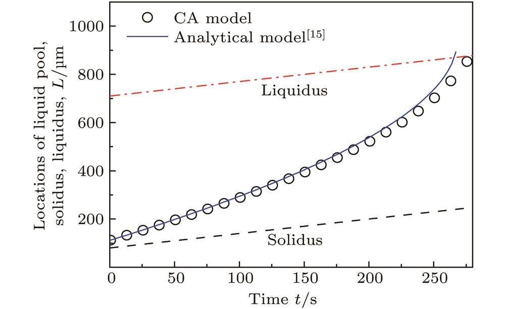 Comparison of the CA simulation with the analytical prediction[15]regarding the time evolution of the location of a migrating liquid pool for a SCN–0.3 wt.% ACE alloy at , and G = 12°C/mm.SCN–0.3 wt.% ACE合金在()和G = 12°C/mm条件下, 迁移熔池位置随时间变化的CA模拟结果与解析模型[15]预测结果的比较
