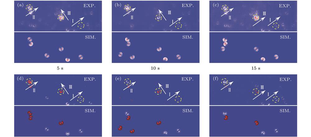 Schematic of the time-domain imaging sequence and reconstructed frequency-domain imaging by Fourier transform for single conjugated polymer molecules based on defocused wide-field fluorescence imaging. The upper part of (a), (b) and (c) gives the experimental results of defocused wide-field fluorescence imaging, while the lower part shows the simulation results. (d), (e) and (f) are the reconstructed frequency-domain imaging at the same area, where red color represents positive phase and white represents negative phase, the upper part gives the results of reconstructed imaging, while the lower part shows the simulation results.共轭聚合物单分子散焦宽场荧光成像时域序列图与利用傅里叶变换频域信息重构的成像序列图 (a)—(c)上半部分为实验测得的散焦宽场荧光成像随时间变化序列, 下半部分为相应的拟合结果; (d)—(f)为与散焦宽场荧光成像同样区域分子的频域信息重构成像图, 不同颜色代表相位的差异, 其中红色代表正相位, 白色代表负相位, 上半部分为直接重构成像结果, 下半部分为拟合结果