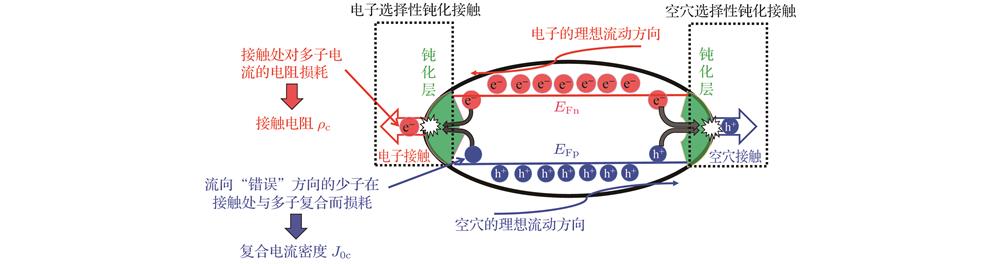 Passivated contact solar cell structure and carrier transport mode[13].钝化接触太阳电池结构及载流子输运方式[13]