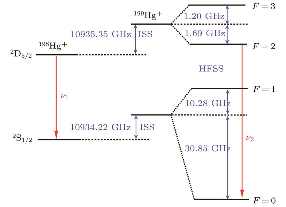 Hyperfine level structure diagram of 199Hg+ and 198Hg+.199Hg+和198Hg+离子的超精细能级结构图